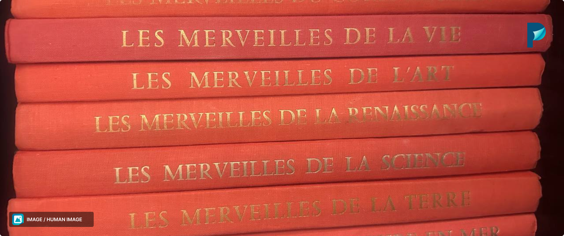 Opt for a revolutionary all-in-one solution that protects your brand while showcasing your quality content.