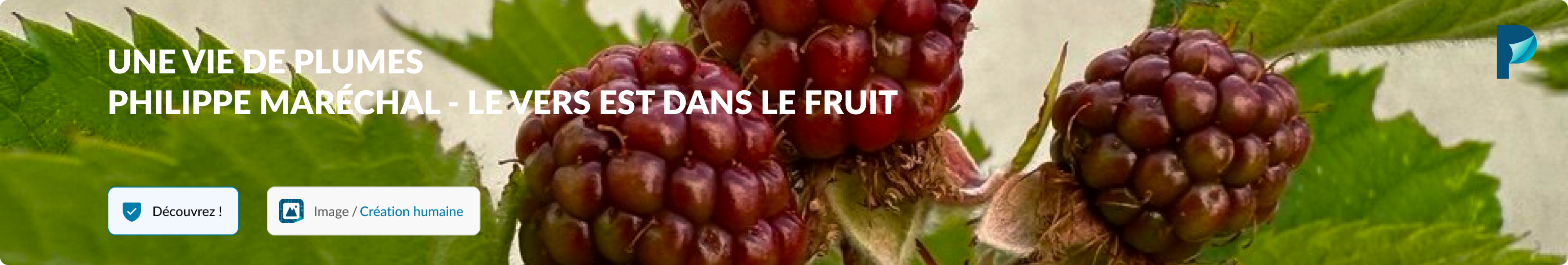 UNE VIE DE PLUMES