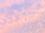 T.V