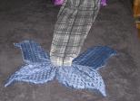 Couverture SIRENE