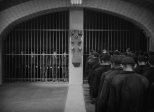 Analyse n° 3 : Noyés dans la confusion et l'épuisement