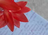 Encrer l'indicible - Premier poème
