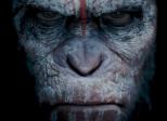 La Planète des Singes : l'Affrontement