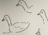 Merveille de l’évolution naturelle