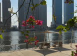Europa Operanda
