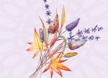 Festina Lente - Chapitre 1