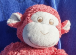 L'Histoire d'Hubert le singe