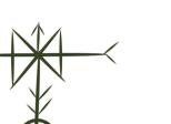 dear Yin