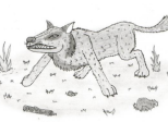 Découvrez les super-canins d'Ethélys !
