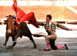 Sur la "maltraitance" animale, l'heure devient grave !