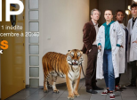 HP - Saison 1