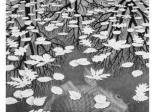 When Art Intersects with Mathematics: M.C. Escher