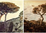 Naturaleza...