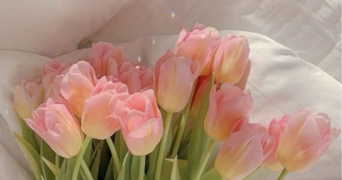 𝘞𝘩𝘢𝘵 𝘸𝘦 𝘩𝘢𝘷𝘦 𝘝𝘚 𝘞𝘩𝘢𝘵 𝘸𝘦 𝘸𝘢𝘯𝘵