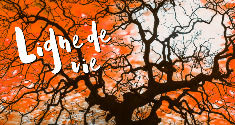 Ligne de vie