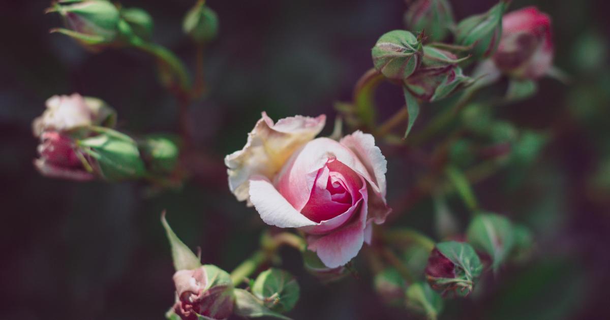 au soleil du mois de mars