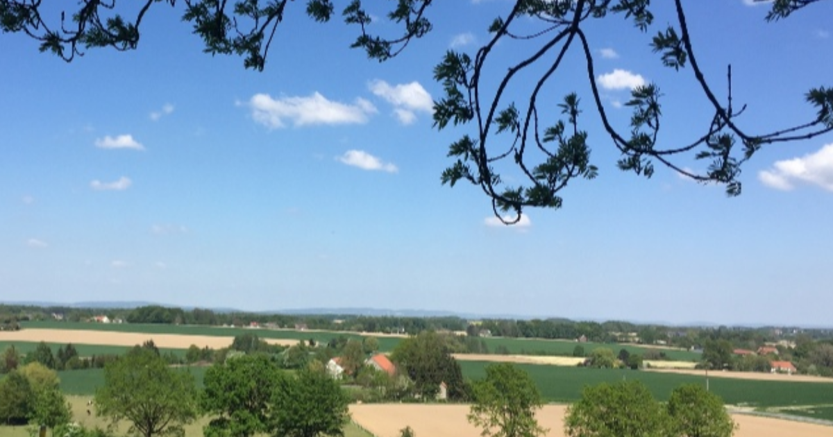 L'homme qui sauva l'humanité