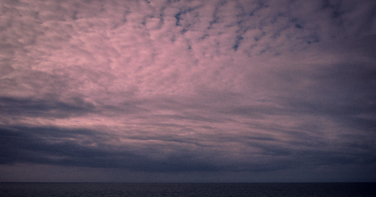 la cinquième langue