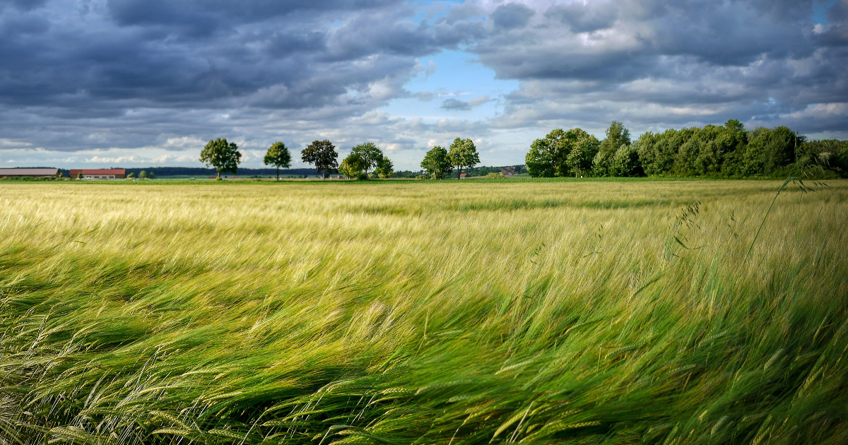 Feuillet de mars : aux quatre vents