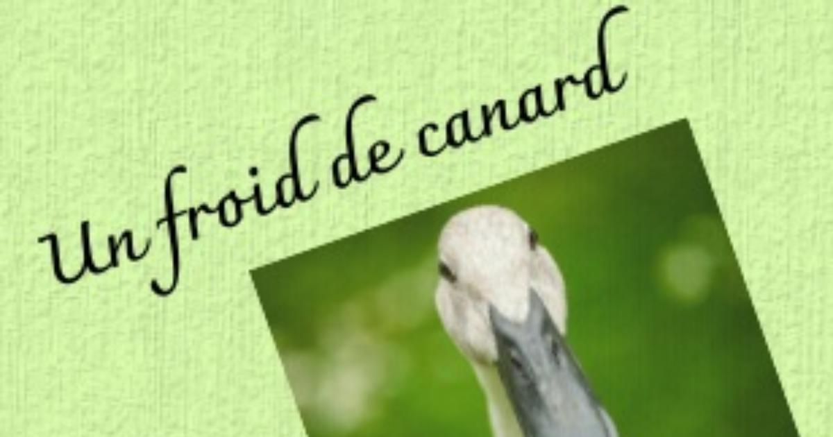 Exercice d'écriture - Un froid de canard