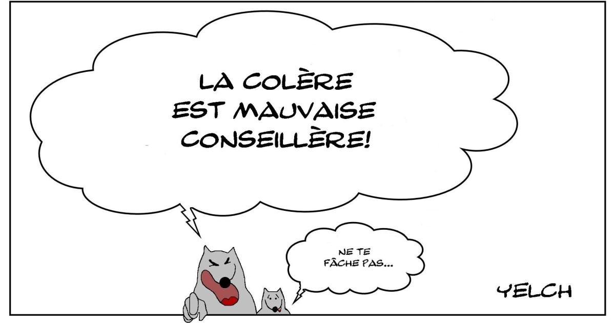 Ne nous fâchons pas