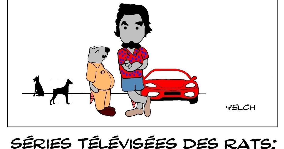 les séries télévisées des rats : Magnum et Higgings et Zeus et Apollon