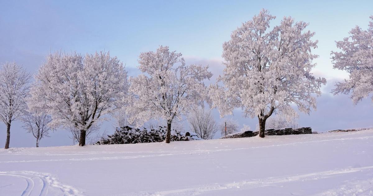 Rencontre avec Alicia Bouffay