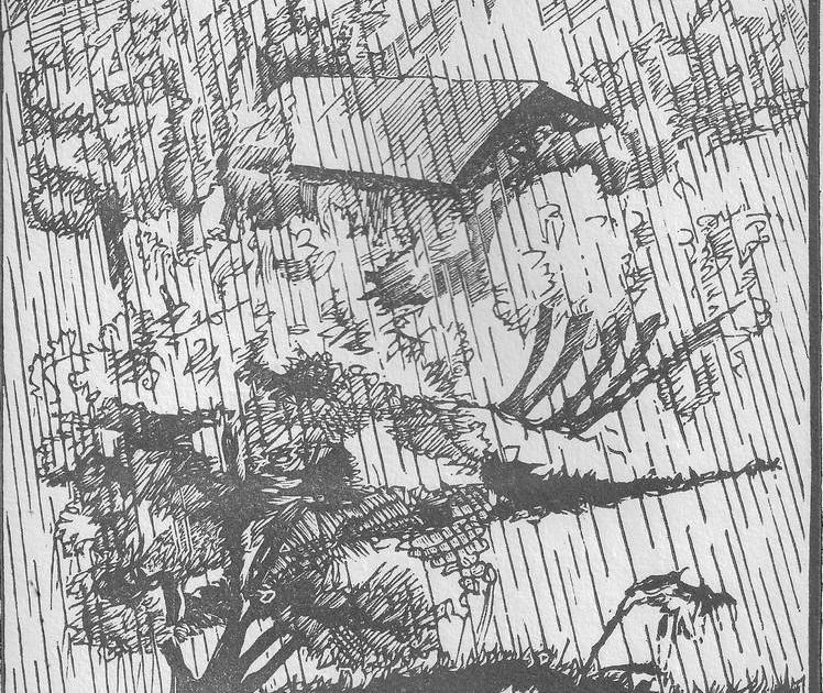 La pluie.
