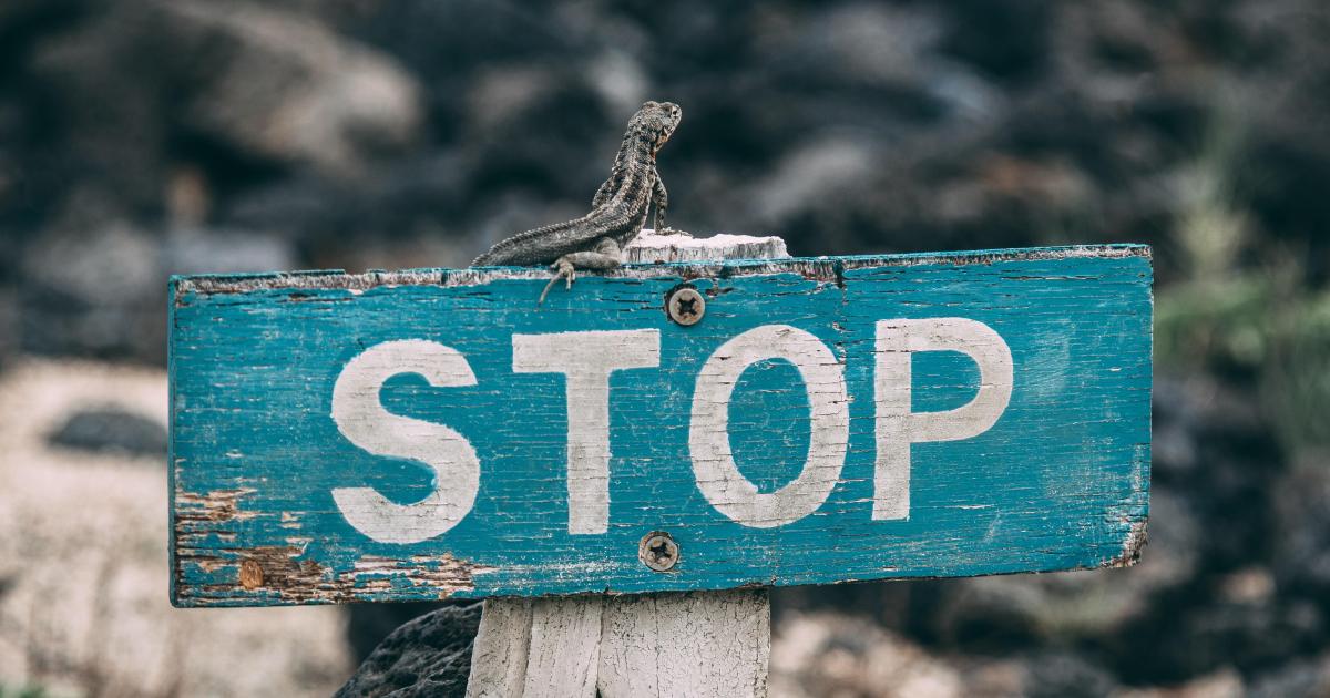 Eh! le blanc, donne mille balles