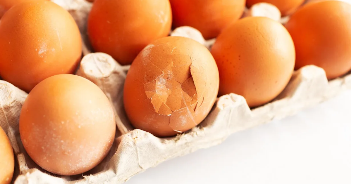 Omelette