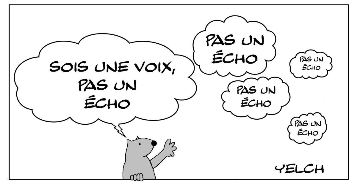 l'écho de la voix et la voix de l'écho