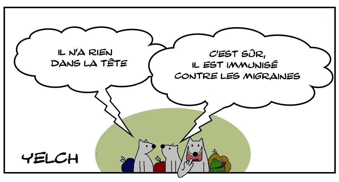 Sans migraines