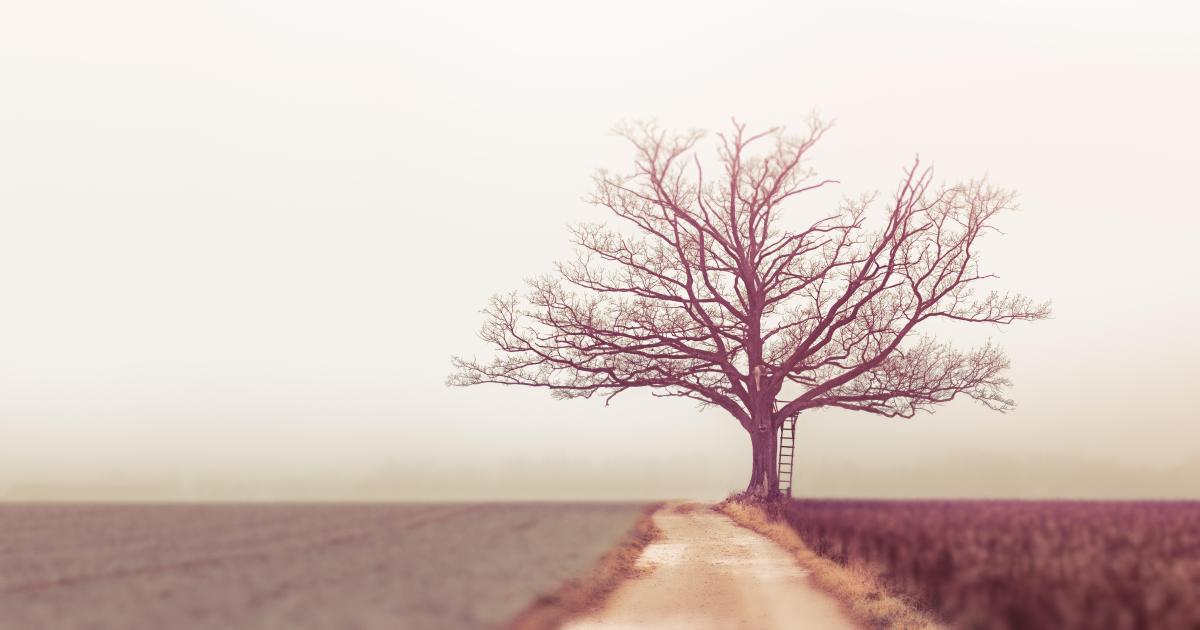 Que penser de l'honneur ?