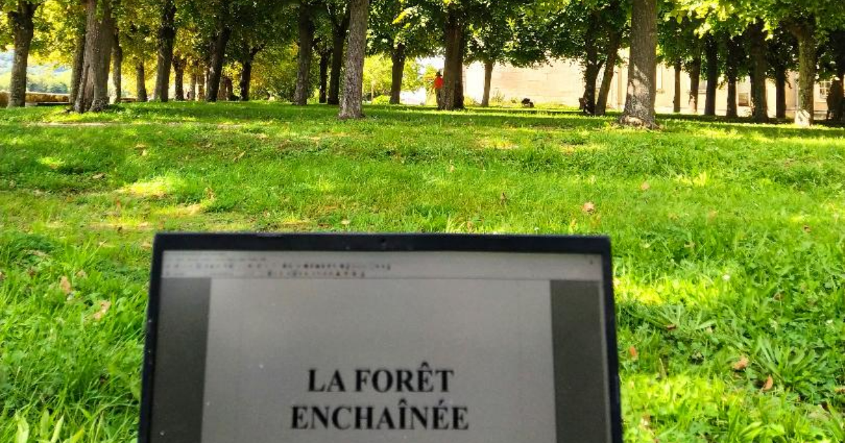 Bienvenue dans la Forêt enchantée (théâtre)