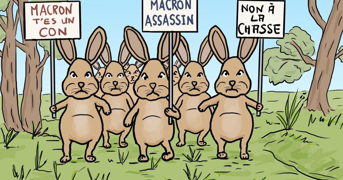 manif de lièvres contre la chasse