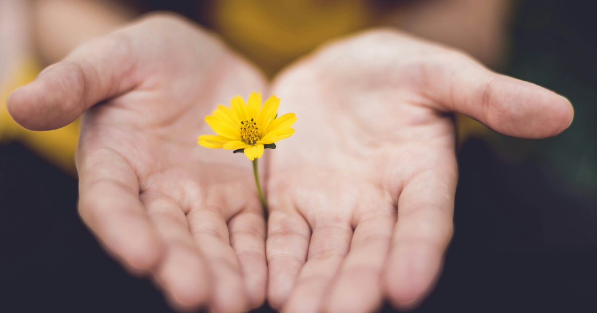 Dans les yeux de Papi