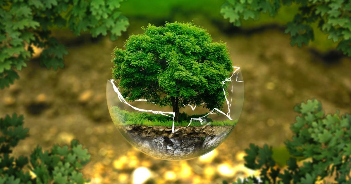 Peut-on encore parler de transition écologique ?