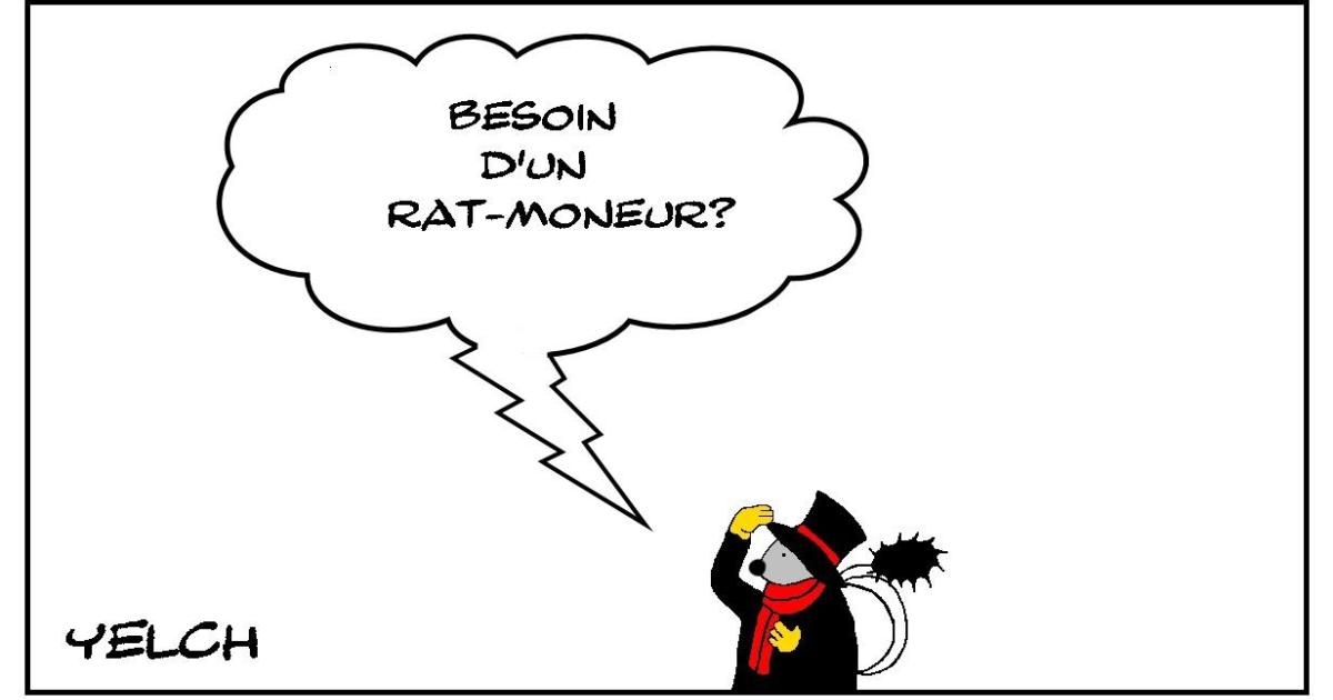 Rat-moneur