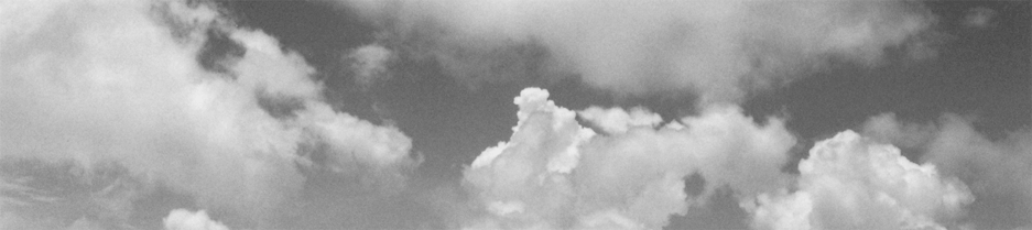 Une feuille d'automne