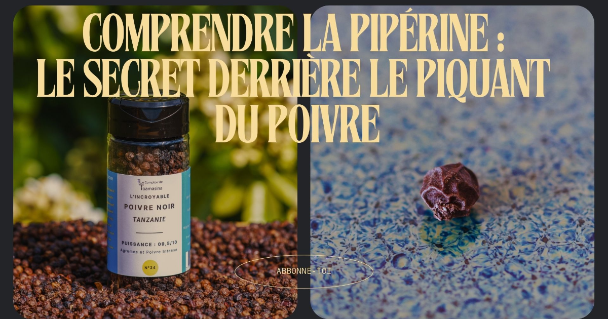 La Pipérine : L'Essence Épicée du Poivre Révélée - Une molécule incroyable
