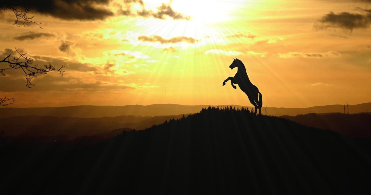 Flânerie quotidienne