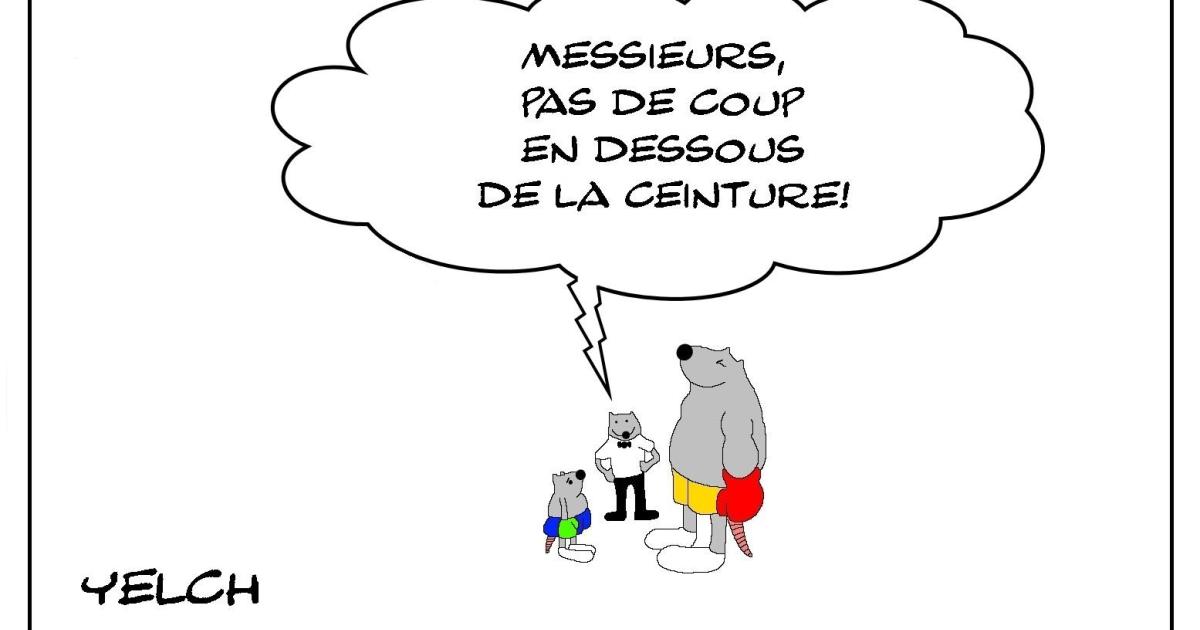 Rat sous la ceinture