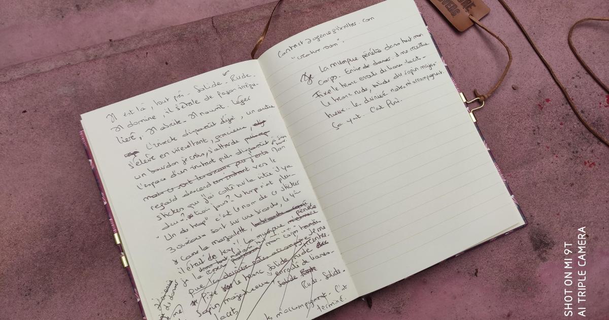 Delphine (Itteville)