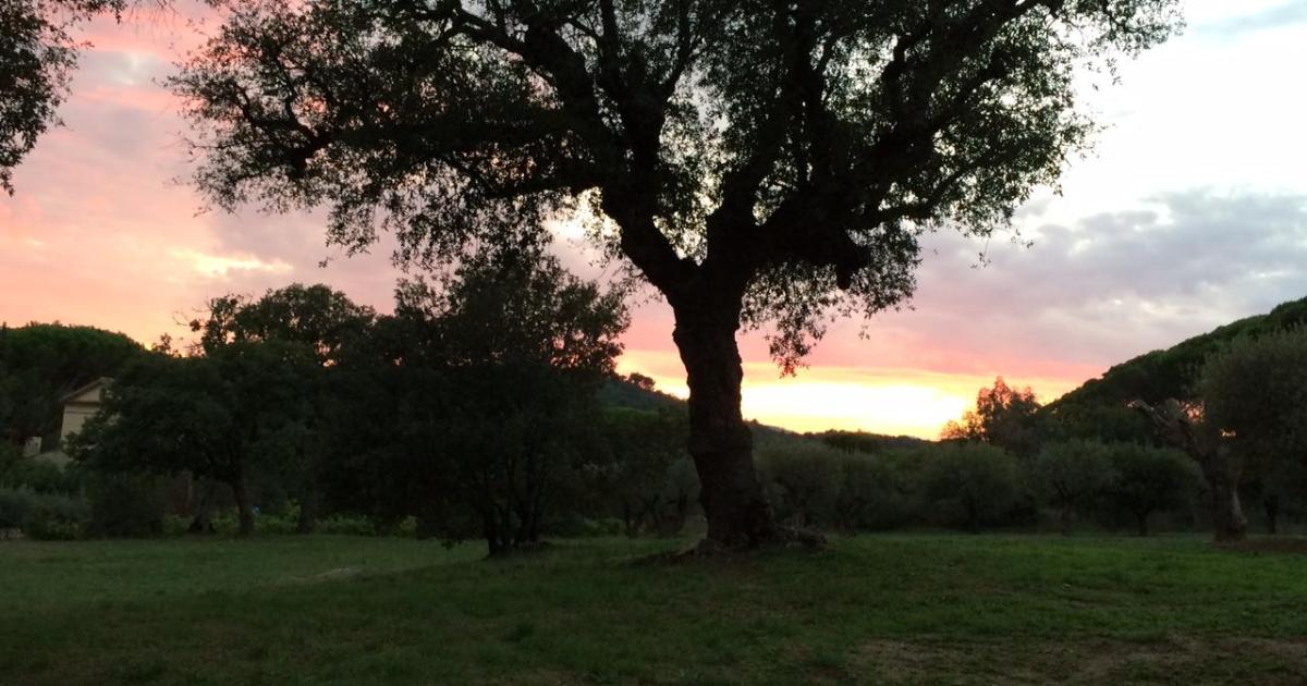 Poétique de la réalité face à l'illusion.