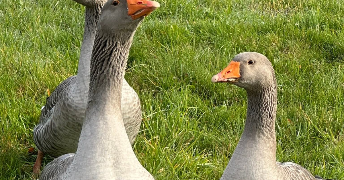 L’ARADHANA DES CIMES