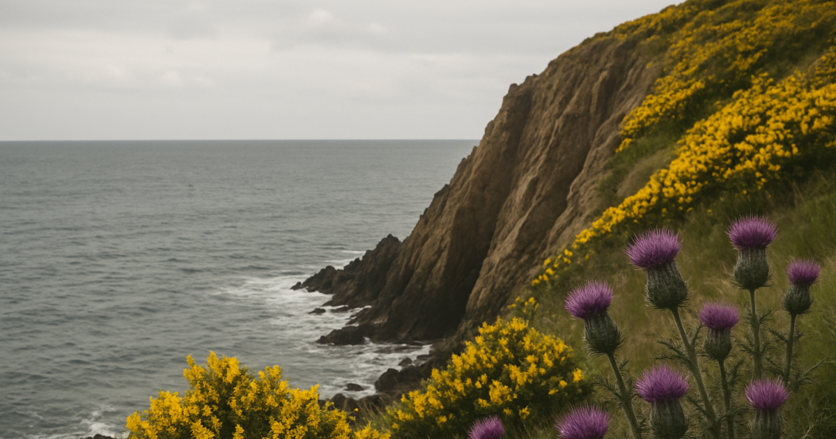 Les silences du hochet