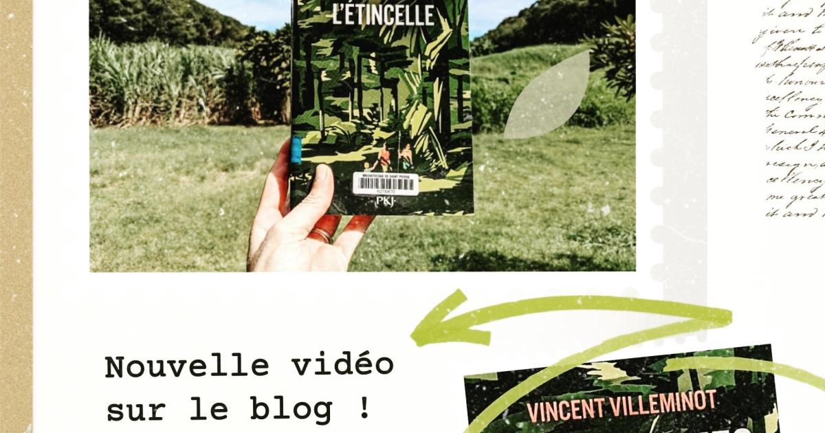 Book'n'furious : Nous sommes l'étincelle - Vincent Villeminot