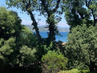 Thomas, responsable produit (#40)