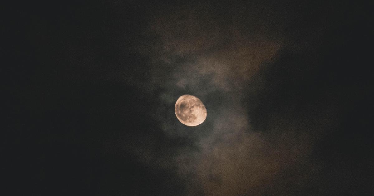 Portrait Nocturne