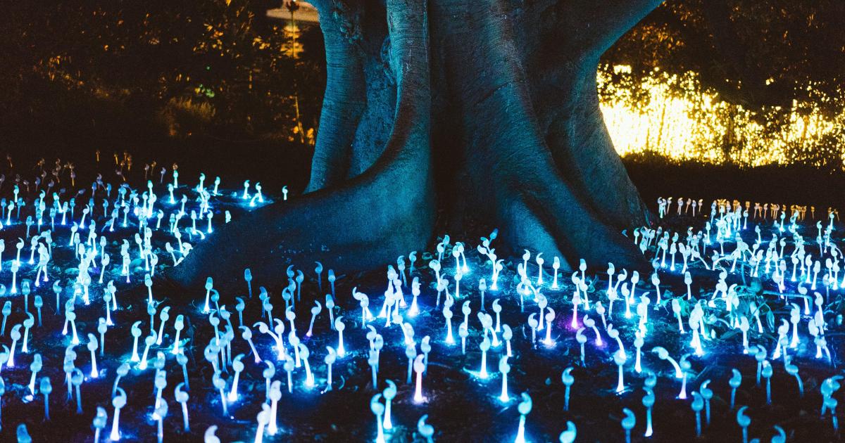 Un conte pour enfant selon vous